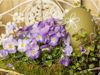 Ein buntes Osterfest mit den passenden Frühlingsboten