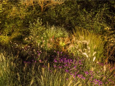 Lichtquellen machen den Garten schöner!