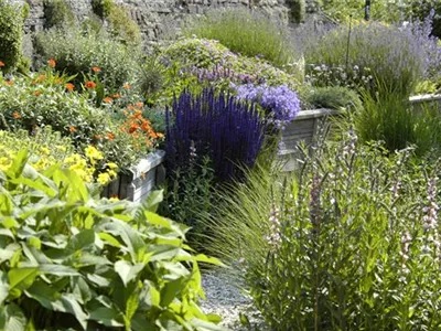 Das Staudenbeet – ein Blütenmeer im Garten