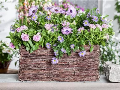 Frühling, Sommer, Herbst, Winter: der Balkon ist immer ein schöner Anblick