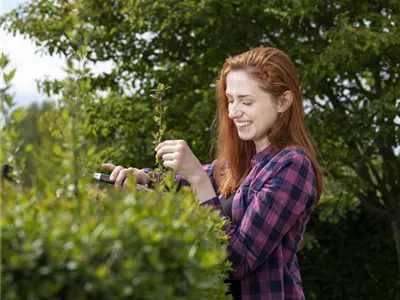 Diese Arbeiten sind jetzt im Garten noch nötig