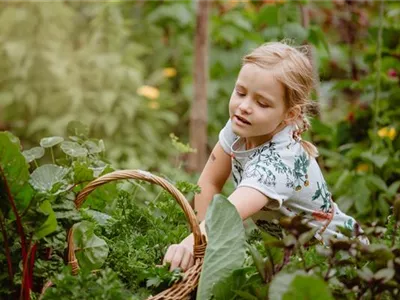 Jetzt kann geerntet werden! Kinder spielerisch einbeziehen